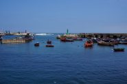 DSC04873