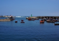 DSC04873