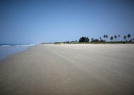 DSC03602