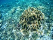 2016_0311_071208_002