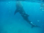 2016_0314_092527_002