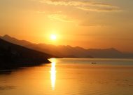 IMG_8131