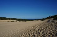 DSC01036