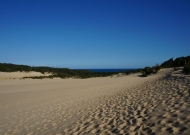 DSC01036