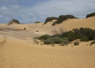 DSC01055