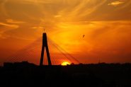 DSC09921