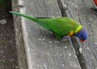 DSC00127