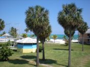 DSCN7954.JPG