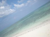 DSCN8012.JPG