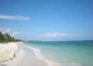DSCN7984.JPG
