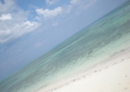 DSCN8012.JPG