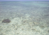 DSCN8014.JPG