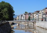 IMG_4176