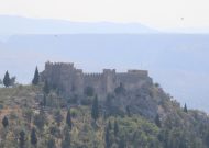 IMG_4437