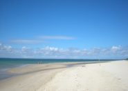 DSCN0599.JPG