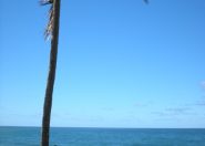 DSCN0631.JPG