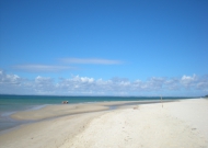 DSCN0599.JPG