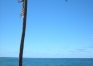 DSCN0631.JPG