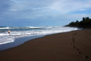 DSC09501