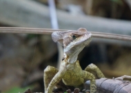 DSC00009