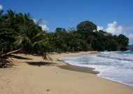 DSC09637
