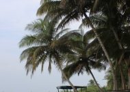 IMG_8909