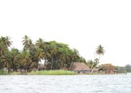 IMG_8912