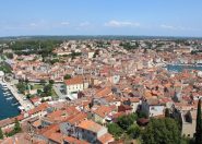 IMG_3560