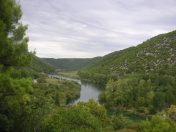 PICT0749.JPG