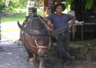 PICT0362.JPG