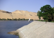 PICT0101.JPG