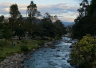 DSC00544