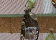 DSC00145