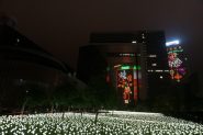 DSC04042