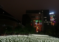 DSC04042