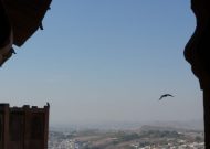 DSC02965