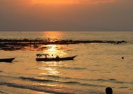 IMG_0962