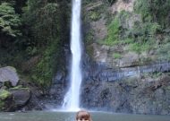 IMG_1171