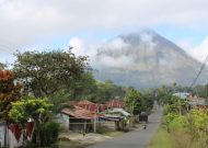 IMG_1181