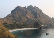 IMG_1474