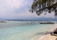 IMG_1564