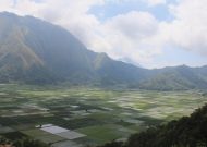 IMG_1636