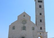IMG_5149