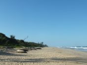 DSCF2180.JPG