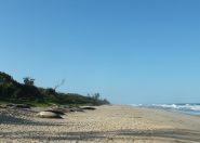 DSCF2180.JPG