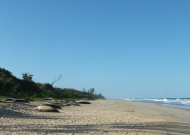 DSCF2180.JPG