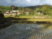 DSCF1793.JPG