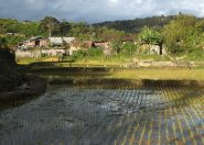 DSCF1793.JPG