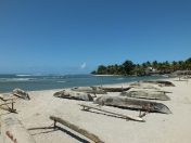 DSCF2381.JPG