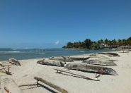 DSCF2381.JPG